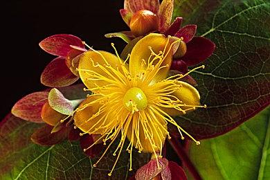 3D肉鸽游戏《清零计划2》登上Steam新品节 